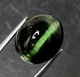 Good Price Very Rare Green Tourmaline Cat´s Eye 8,27 carat Oval Cabochon Sharp Eye Good Quality from Mozambique Purchase Now!