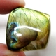 Bra Pris Mycket Fin Kvalitet Regnbågs Lystrande Labradorit 54,38 carat Fancy Cabochon Slipning Suverän Lyster & Färgspel från Madagaskar köp Nu!