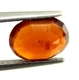 Billigt Pris Rödaktigt Orange Hessonit Granat 1,39 carat Oval Slipning Härlig Färg från Afrika Köp Nu!