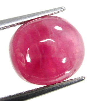 Bra Pris Mycket Fin Kvalitet Behandlad Rödrosa Rubin 6,59 carat Oval Slipad Cabochon från Madagaskar Köp Nu!