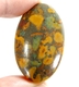 Bra Pris Vacker Mönstrad Frukt Jaspis 60,67 carat Oval Cabochon Slipad Mycket Bra Kvalitet & Färg från Indien Köp Nu!