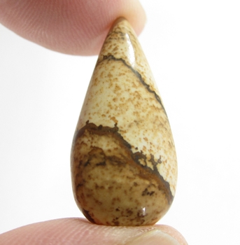 Bra Pris Vacker Mönstrad Bild Jaspis 20,71 carat Dropp Cabochon Slipad Mycket Bra Kvalitet & Färg från Madagaskar Köp Nu!