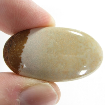 Bra Pris Vacker Mönstrad Bild Jaspis 51,18 carat Oval Cabochon Slipad Mycket Bra Kvalitet & Färg från Madagaskar Köp Nu!