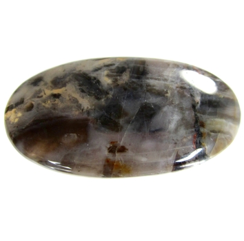 Bra Pris Vacker Mönstrad Flerfärgad Dendritisk Jaspis 48,31 carat Oval Cabochon Slipad Mycket Bra Kvalitet & Färg från Australien Köp Nu!