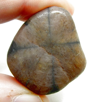 Bra Pris Trumlad Polerad Äkta Korssten (Andalusit) 29,82 Gram Naturlig Tydligt Kors Mönster Intressant Sällsynt samlarsten från Brasilien Köp Nu!