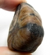 Bra Pris Trumlad Polerad Äkta Korssten (Andalusit) 55,69 Gram Naturlig Tydligt Kors Mönster Intressant Sällsynt samlarsten från Brasilien Köp Nu!