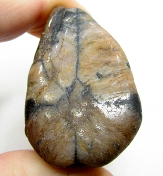 Bra Pris Trumlad Polerad Äkta Korssten (Andalusit) 55,69 Gram Naturlig Tydligt Kors Mönster Intressant Sällsynt samlarsten från Brasilien Köp Nu!