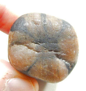 Bra Pris Trumlad Polerad Äkta Korssten (Andalusit) 48,78 Gram Naturlig Tydligt Kors Mönster Intressant Sällsynt samlarsten från Brasilien Köp Nu!
