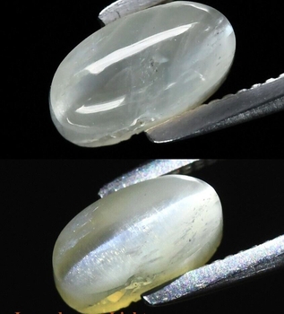 Bra Pris Vacker Mycket Sällsynt Krysoberyll Kattöga 1,26 carat Oval Cabochon Slipning Samlarsten Skarpt Öga från Sri Lanka Köp Nu!