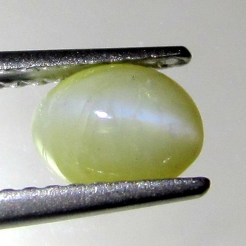 Bra Pris Vacker Mycket Sällsynt Krysoberyll Kattöga 1,31 carat Oval Cabochon Slipning Samlarsten Skarpt Öga från Sri Lanka Köp Nu!