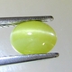 Bra Pris Vacker Mycket Sällsynt Krysoberyll Kattöga 1,41 carat Oval Cabochon Slipning Samlarsten Skarpt Öga från Sri Lanka Köp Nu!