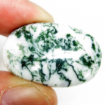 Bra Pris Mycket Vacker Vit Moss Agat 37,64 carat Oval Cabochon Slipning Väldigt Fin Färg & Kvalitet från Brasilien Köp Nu!