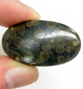 Bra Pris Stor Intressant Mixad Ädelsten Glimmer i Skapolit 56,49 carat Oval Cabochon Slipning från Brasilien Köp Nu!