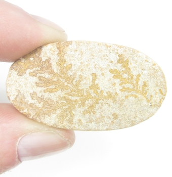 Bra Pris Mycket Fin Dendritisk Sandsten 42,90 carat Oval Grov Utskuren Opolerad Bra Kvalite från Marocko Köp Nu!