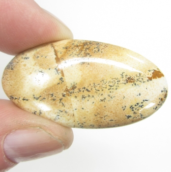 Bra Pris Vacker Mönstrad Bild Jaspis 45,65 carat Oval Cabochon Slipad Mycket Bra Kvalitet & Färg från Indonesien Köp Nu!