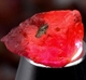 Good Price Parcel 34 pcs Untreated Rough Uncut Ruby 94,24 carat Natural Crystal Nice Colour from Tanzania Purchase Now!