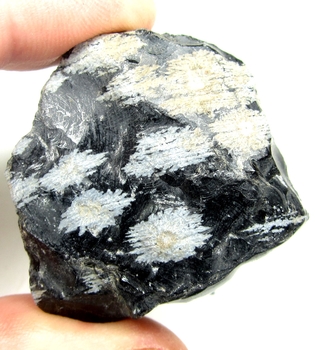 Bra pris Naturlig Snöflinge Obsidian 54,50 gram Brottstycke Hög Intressant Samlar Sten Bra Kvalite från Afrika