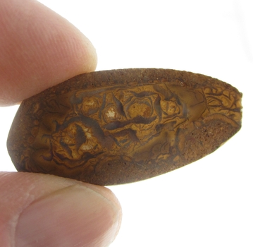 Good Price Very Nice Koroite Boulder Opal 21,87 carat Natural Crystal/Piece Good Colour Pattern & Quality from Lightning Ridge Australia Purchase Now!