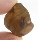 Bra Pris Mycket Fin Rå Oslipad Koroit Boulder Opal 35,84 carat Naturlig Kristall/Bit Bra Färg Mönster & Kvalitet från Lightning Ridge Australien Köp Nu!