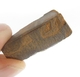 Bra Pris Mycket Fin Rå Oslipad Koroit Boulder Opal 25,34 carat Naturlig Kristall/Bit Bra Färg Mönster & Kvalitet från Lightning Ridge Australien Köp Nu!