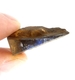Bra Pris Mycket Fin Rå Oslipad Koroit Boulder Opal 25,34 carat Naturlig Kristall/Bit Bra Färg Mönster & Kvalitet från Lightning Ridge Australien Köp Nu!