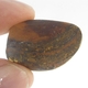 Good Price Very Nice Koroite Boulder Opal 29,30 carat Natural Crystal/Piece Good Colour Pattern & Quality from Lightning Ridge Australia Purchase Now!
