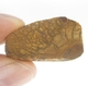 Good Price Very Nice Koroite Boulder Opal 29,13 carat Natural Crystal/Piece Good Colour Pattern & Quality from Lightning Ridge Australia Purchase Now!