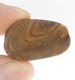 Bra Pris Mycket Fin Rå Oslipad Koroit Boulder Opal 21,71 carat Naturlig Kristall/Bit Bra Färg Mönster & Kvalitet från Lightning Ridge Australien Köp Nu!