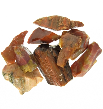 Bra Pris Parti 9 st Mycket Spännande Rå Oslipad Förstenat Träd 63 gram Naturliga Brottstycken Bitar Mycket Bra Färg Mönster & Kvalitet från Afrika Köp Nu!