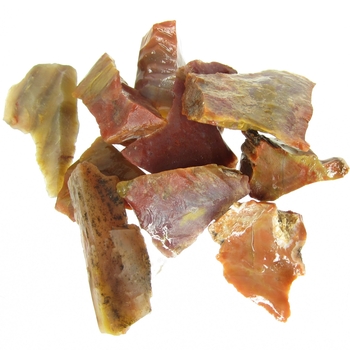 Bra Pris Parti 10 st Mycket Spännande Rå Oslipad Förstenat Träd 63 gram Naturliga Brottstycken Bitar Mycket Bra Färg Mönster & Kvalitet från Afrika Köp Nu!