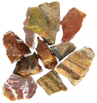 Bra Pris Parti 10 st Mycket Spännande Rå Oslipad Förstenat Träd 87 gram Naturliga Brottstycken Bitar Mycket Bra Färg Mönster & Kvalitet från Afrika Köp Nu!