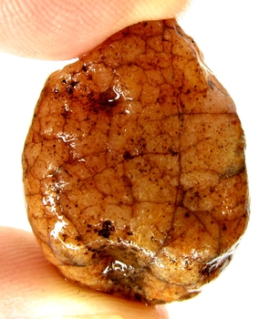 Bra Pris Rå Oslipad Obehandlad Intressant Brun Orange Röd Karneol 13 gram Naturlig Bit Nodul Mycket Fin Kvalitet & Färg från Afrika Köp Nu!