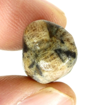 Bra Pris Hög Intressant Rå Oslipad Äkta Korssten (Andalusit) 33,90 Carat Naturligt Kors Mönster Nodul Bit Intressant Sällsynt samlarsten från Brasilien Köp Nu!