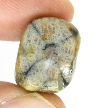 Bra Pris Hög Intressant Rå Oslipad Äkta Korssten (Andalusit) 42,05 Carat Naturligt Kors Mönster Nodul Bit Intressant Sällsynt samlarsten från Brasilien Köp Nu!