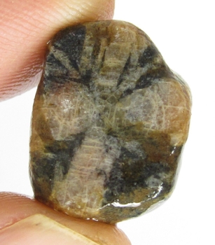 Bra Pris Hög Intressant Rå Oslipad Äkta Korssten (Andalusit) 25,50 Carat Naturligt Kors Mönster Nodul Bit Intressant Sällsynt samlarsten från Brasilien Köp Nu!