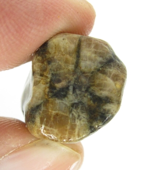 Bra Pris Hög Intressant Rå Oslipad Äkta Korssten (Andalusit) 35,85 Carat Naturligt Kors Mönster Nodul Bit Intressant Sällsynt samlarsten från Brasilien Köp Nu!
