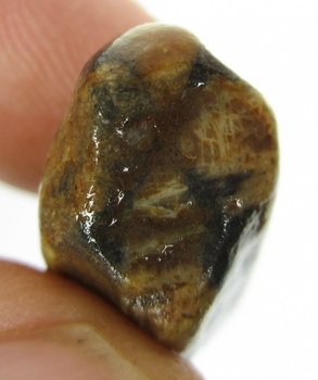 Bra Pris Hög Intressant Rå Oslipad Äkta Korssten (Andalusit) 29,35 Carat Naturligt Kors Mönster Nodul Bit Intressant Sällsynt samlarsten från Brasilien Köp Nu!