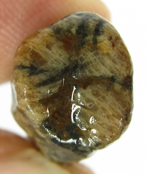 Bra Pris Hög Intressant Rå Oslipad Äkta Korssten (Andalusit) 28,85 Carat Naturligt Kors Mönster Nodul Bit Intressant Sällsynt samlarsten från Brasilien Köp Nu!