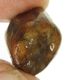Bra Pris Hög Intressant Rå Oslipad Äkta Korssten (Andalusit) 33,40 Carat Naturligt Kors Mönster Nodul Bit Intressant Sällsynt samlarsten från Brasilien Köp Nu!