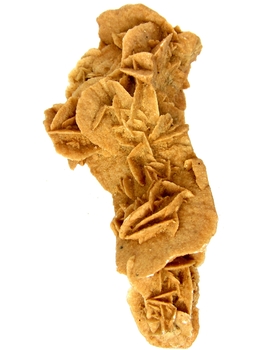 Bra Pris Mycket Vacker Beige Brun Ökenros 155 gram Finaste Färg & Bra Kvalitet Hög Intressant Speciell Samlarstuff från Marocko Köp Nu!