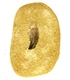 Bra Pris Mycket Spännande Fint Formad Tand från  Mossasaurie 103 gram Inbäddad i Porös Sandsten Hög Intressant Samlar Objekt från Marocko Köp Nu!