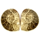 Good Price Very Beautiful Natural Artwork Fossil 2 pcs/1 pair Ammonite 184 gram Sawn Polished Half´s Interesting Exciting Collectible Item from Morocco Buy Now!