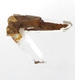 Bra Pris Mycket Fin Intressant Ministuff Bergskristall/Vit Kvarts 5,52 gram Naturligt Kluster Terminerade Kristaller från Marocko Köp Nu!