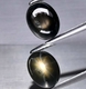 Good Price Super Rare Untreated Unique Black Sapphire 2,29 carat Oval Cabochon 12-Ray Star from Thailand Purchase Now!