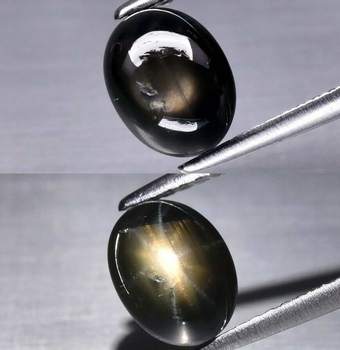Good Price Super Rare Untreated Unique Black Sapphire 2,29 carat Oval Cabochon 12-Ray Star from Thailand Purchase Now!