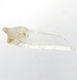 Bra Pris Mycket Fin Intressant Bergskristall/Vit Kvarts 11,77 gram Naturligt Terminerad Kristall Trevligt Samlar Matrial från Marocko Köp Nu!