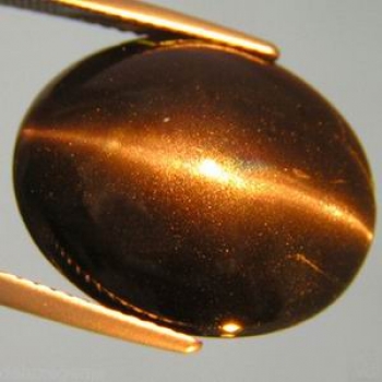Bra Pris Mycket Sällsynt Skarpt Kattöga Skapolit 20,49 carat Oval Cabochon Slipning Bra Kvalitet & Form från Sri Lanka Köp Nu!