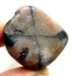 Good Price Tumbled Polished Genuine Chiastolite (Andalusite) 23,49 Gram Natural Clear Cross Pattern Interesting Collectors Stone from Brazil Purchase Now!