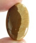 Bra Pris Vacker Mönstrad Bild Jaspis 38,46 carat Oval Cabochon Slipad Mycket Bra Kvalitet & Färg från Madagaskar Köp Nu!