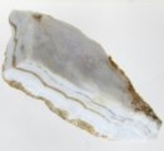 Good Price Big Rough Uncut Untreated Interesting Blue Striped Agate 86 grams Natural Fragment Piece Very Fine Quality & Color from Africa Buy Now!